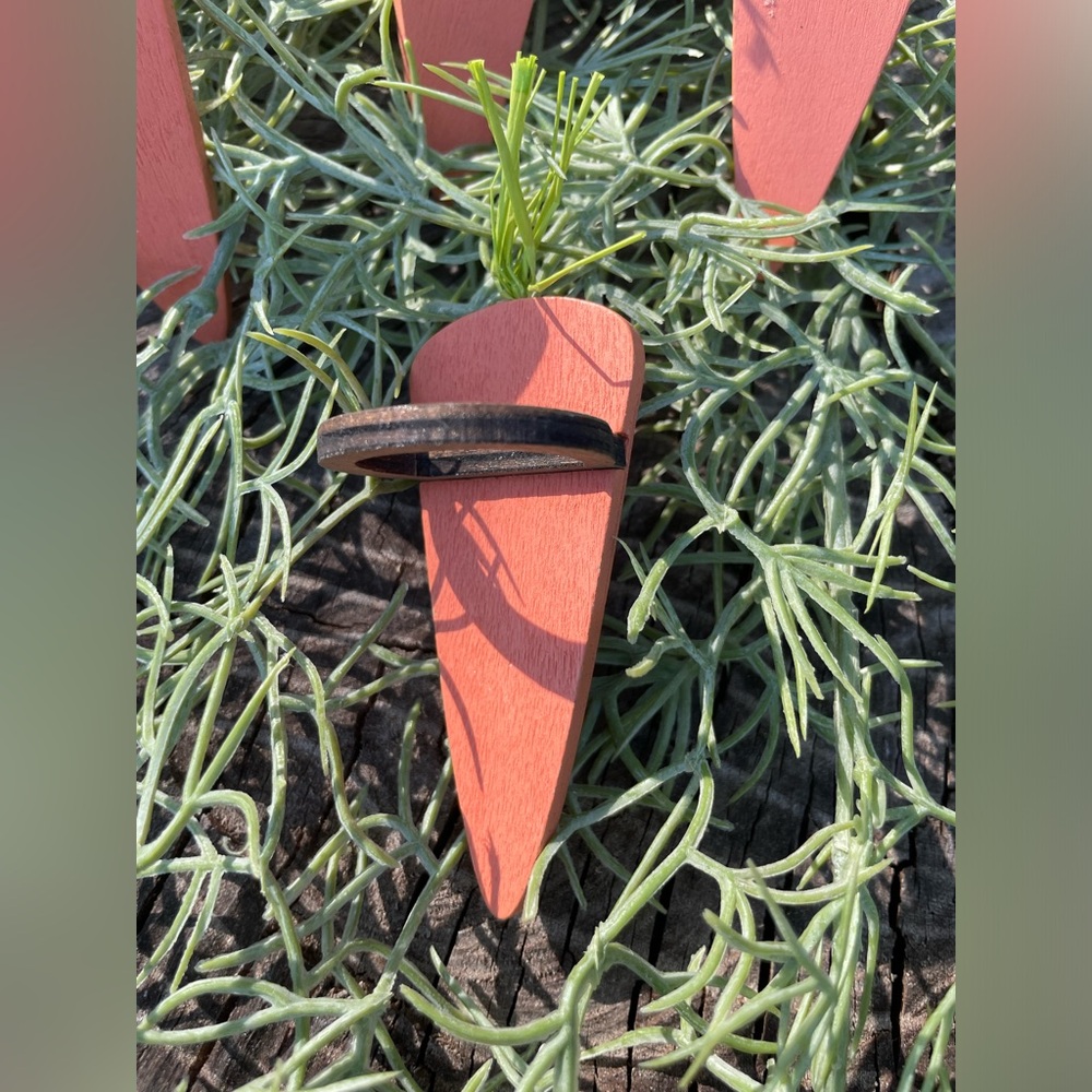 Carrot Napkin Rings - Picture 2 of 11